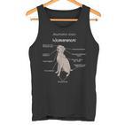 Anatomie Eines Weimaraners Weimaraner Tank Top