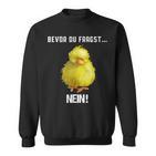 Cute Bird  Sweatshirt