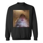 Hamster Starrt In Die Front Camera I Internet Hamster Meme Sweatshirt