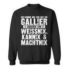 Ich Komme Miror Wie Ein Gallier Umgeben By Weissnix Sweatshirt