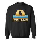 Retro Island Puffin Icelandic Bird Puffin Sweatshirt