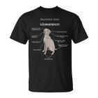 Anatomie Eines Weimaraners Weimaraner T-Shirt