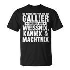 Ich Komme Miror Wie Ein Gallier Umgeben By Weissnix T-Shirt