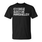 Ich Kriege Ggleich Die Pimpernellen Krich De Pimpernellen T-Shirt