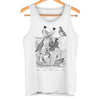 Pigeonintage Breeds Of Pigeons For Pigeon Lover Tank Top - Geschenkecke