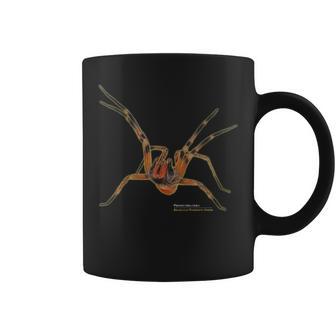 Brazilian Spider Phoneutria Fera Tassen - Geschenkecke