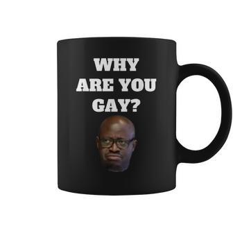 Why Are You Gay Coffee Mug | Seseable UK