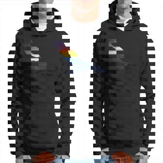 Beautiful Eagle Flying Sunset Mountains Sky Silhouette Hoodie - Monsterry