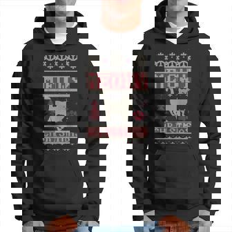 Best For Cats Lover Cat Ugly Christmas Sweaters Hoodie | Seseable UK