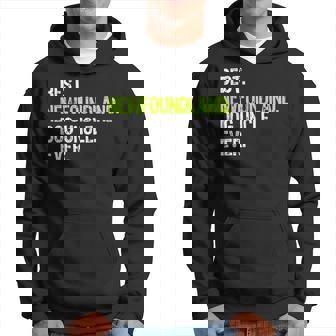 Best Newfoundland Dog Uncle Ever Hoodie - Monsterry