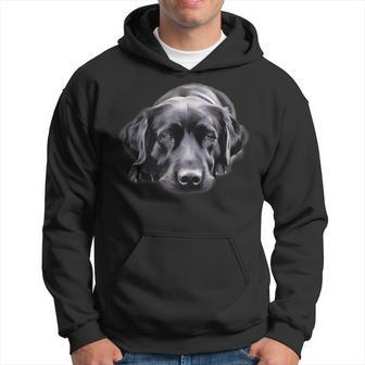 Black Labrador Dog Sleep Black Lab Dog Owners Lover Hoodie - Thegiftio UK