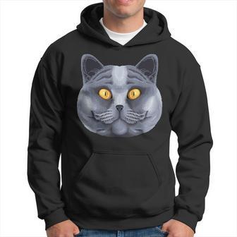 British Shorthair Face Cute British Shorthair Cat Breed Hoodie - Thegiftio UK