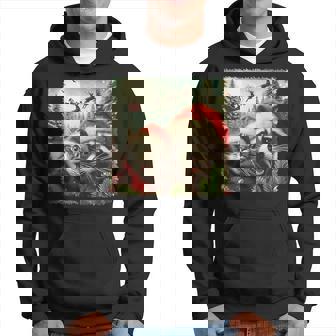 Cat Selfie With Santa's Sleigh Weird Raccoon Christmas Hoodie - Monsterry
