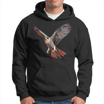 Cool Bird Of Prey For Falconry Lovers And Birds Watcher Hoodie - Thegiftio UK