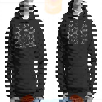 Dark Academia Dea Greca Light Academia Aesthetic Felpa con cappuccio - Novitaregali