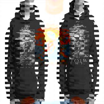 Destin Florida Vacation Turtle Hoodie - Thegiftio