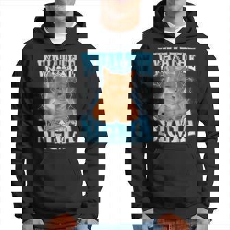 Erm What The Sigma Meme Cat Ironic Brainrot Y2k Hoodie - Thegiftio UK