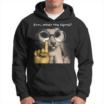 Erm What The Sigma Meme Cat Hoodie - Thegiftio UK