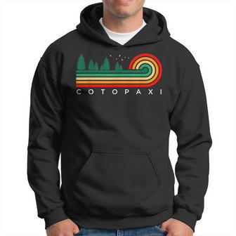 Evergreen Vintage Stripes Cotopaxi Colorado Hoodie - Thegiftio UK