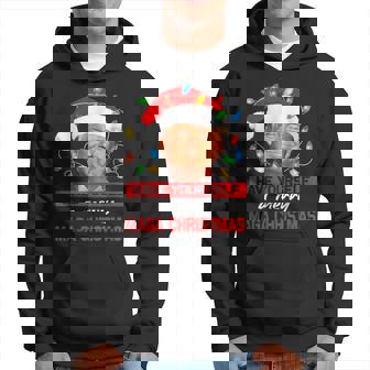 Santa Trump Have Yourself A Merry Maga Christmas Xmas Hoodie | Mazezy