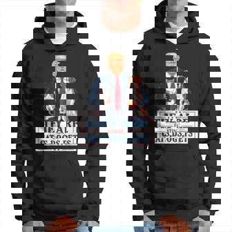 They Are Eating The Dogs The Cats The Pets Trump Hoodie | Mazezy