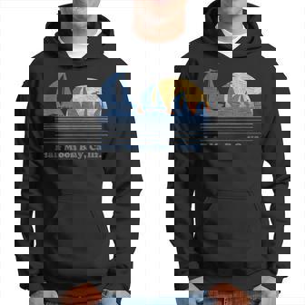 Half Moon Bay Ca Sailboat Vintage 80S Sunset Hoodie - Monsterry