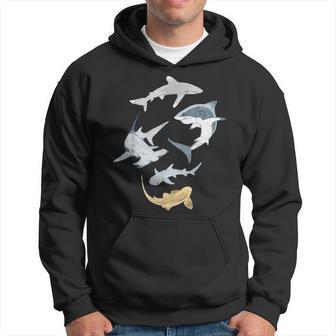 Hammershark Zebra Shark Shark Types Of Sharks Kapuzenpullover - Geschenkecke