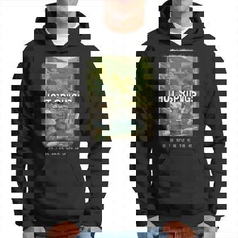 Hot Springs Arkansas Ar Natural Splendor Sd579 Hoodie | Mazezy