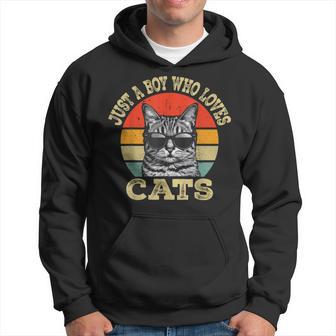 Just A Boy Who Loves Cats Boy Kid Cat Lover For Boys Vintage Hoodie - Thegiftio UK