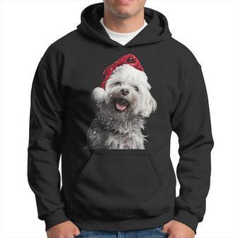 Maltese Christmas Kapuzenpullover - Geschenkecke