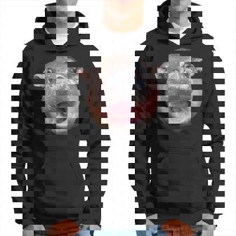 Moo Deng Bouncy Pig The Cute Baby Hippo Face Hoodie - Thegiftio