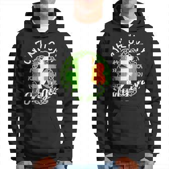 One Lucky Maguire Irish Family Name Hoodie - Monsterry