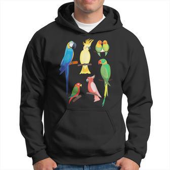 Parrot T Parrot For Girls Parrot Lovers Hoodie - Thegiftio UK