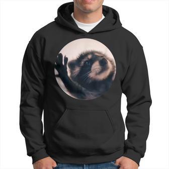 Pedro Racoon Dance Popular Internet Meme Mapache Dance Hoodie - Thegiftio UK