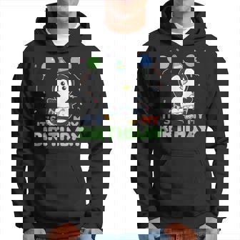 Penguin For Birthday For Children It's My Birthday Hoodie | Seseable UK