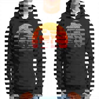 Retro Sunset Rv Camper Motorhome Vintage Hoodie - Thegiftio UK