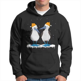 Seabirds Blue-Footed Booby Bird Christmas Hoodie - Thegiftio UK