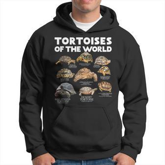 Tortoises Of The World Turtles Lover Save The Tortoises Hoodie - Thegiftio UK