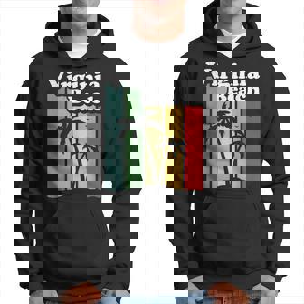 Virginia Beach Retroirginia Beach Sudadera - Regaloses