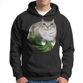 Watermelon Cat Silly Cat Meme Hoodie - Thegiftio UK