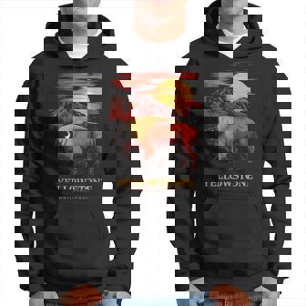 Yellowstone National Park Sun Bison Graphic Hoodie - Thegiftio