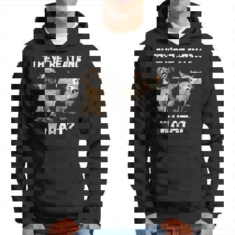 They’Re Eating The Dogs They’Re Eating The Cats The Pets Hoodie | Mazezy