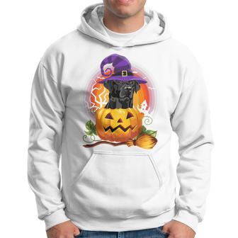 Black Lab Witch Pumpkin Halloween Dog Lover Costume Hoodie - Thegiftio UK