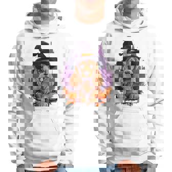 Cocker Spaniel Halloween Dog Witch Hoodie - Thegiftio