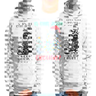 Is This Jolly Enough Cat Christmas Tree Xmas Cat Lover Hoodie | Seseable UK