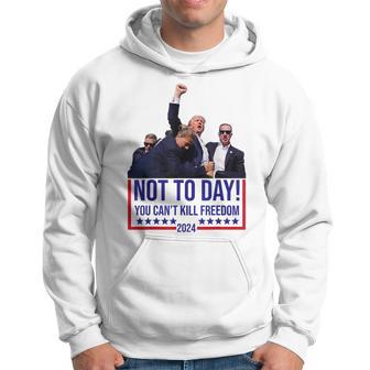 Not Today You Can't Kill Freedom Hoodie - Thegiftio UK