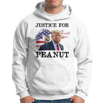 Peanut P’Nut Pnut Justice For Peanut The Squirrel 2024 Hoodie - Thegiftio UK