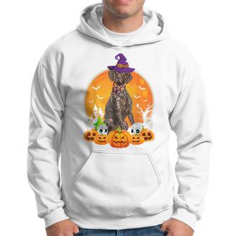 Pumpkin Skull Witch German Shorthaired Pointer Dog Halloween Hoodie - Thegiftio UK