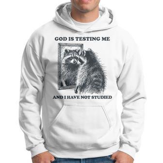 Raccoon The Lord God Is Testing Me And I Have Not Studied Hoodie - Thegiftio UK