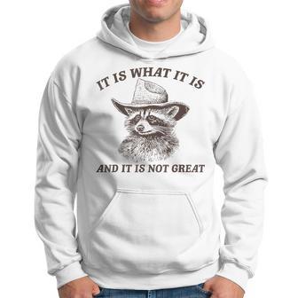 Raccoon It Is What It Is And It Is Not Great Hoodie - Thegiftio UK